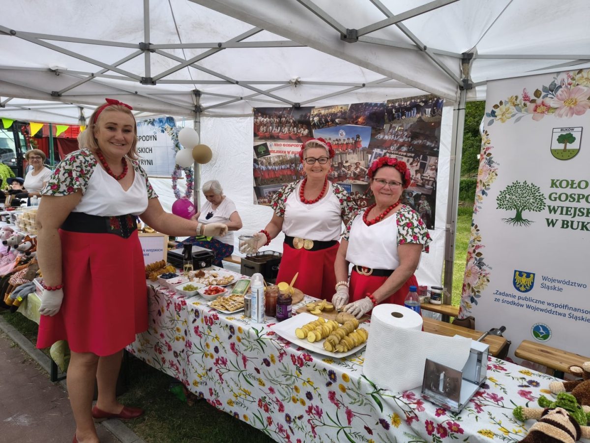 POWIATOWY FESTIWAL KULTURY - zdjęcie 1