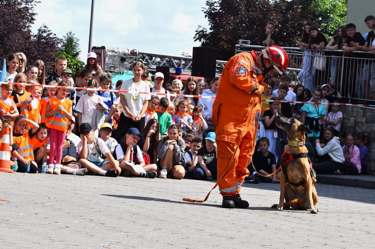 V Piknik Bezpieczeństwa w Radlinie - zdjęcie 3