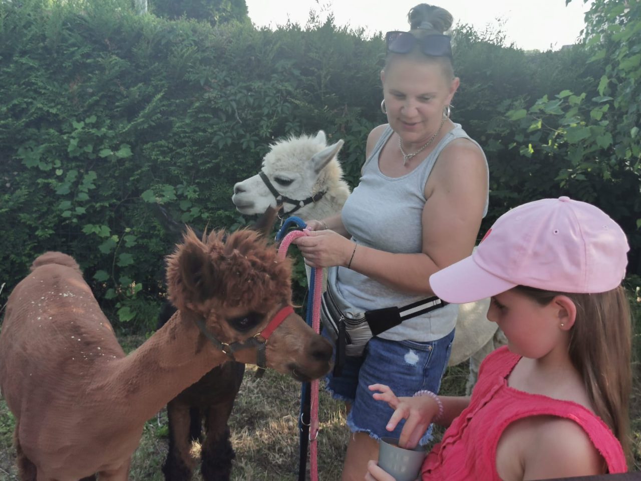 "WESTERN PIKNIK" w sołectwie Borynia oraz Skrzeczkowice - zdjęcie 11