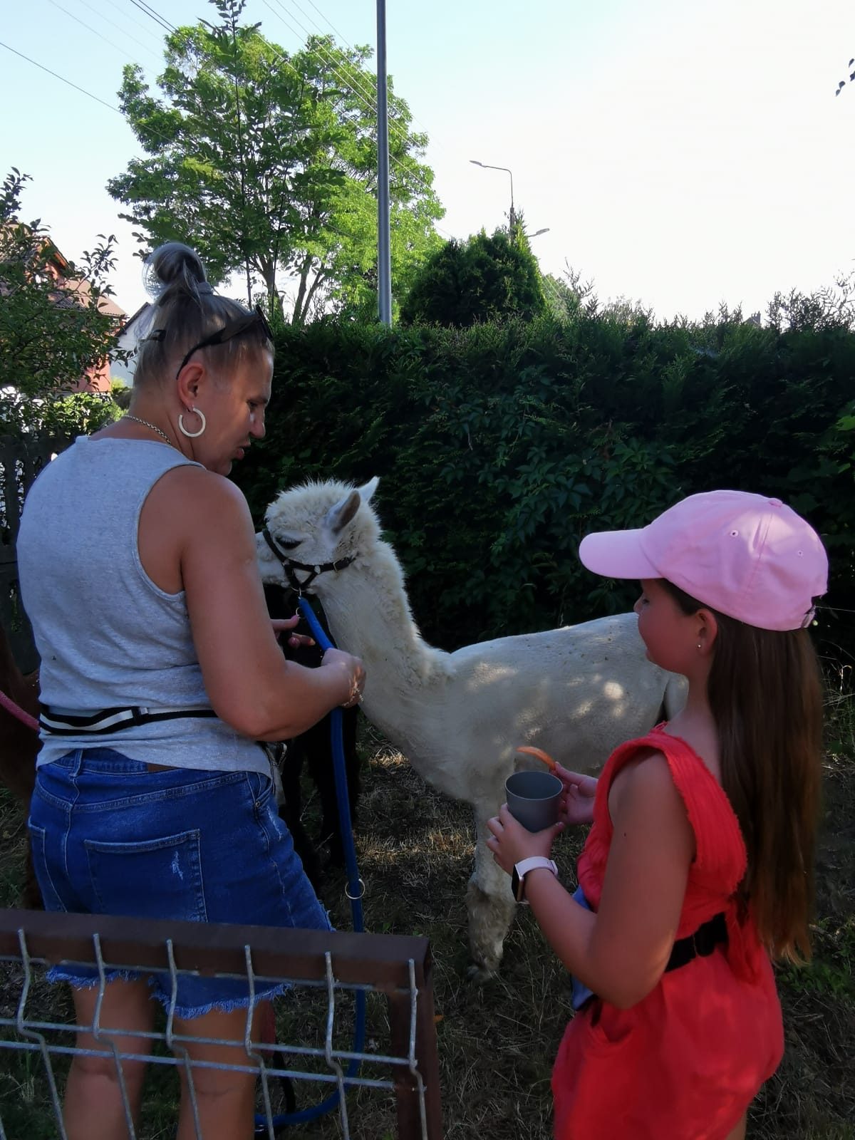 "WESTERN PIKNIK" w sołectwie Borynia oraz Skrzeczkowice - zdjęcie 8