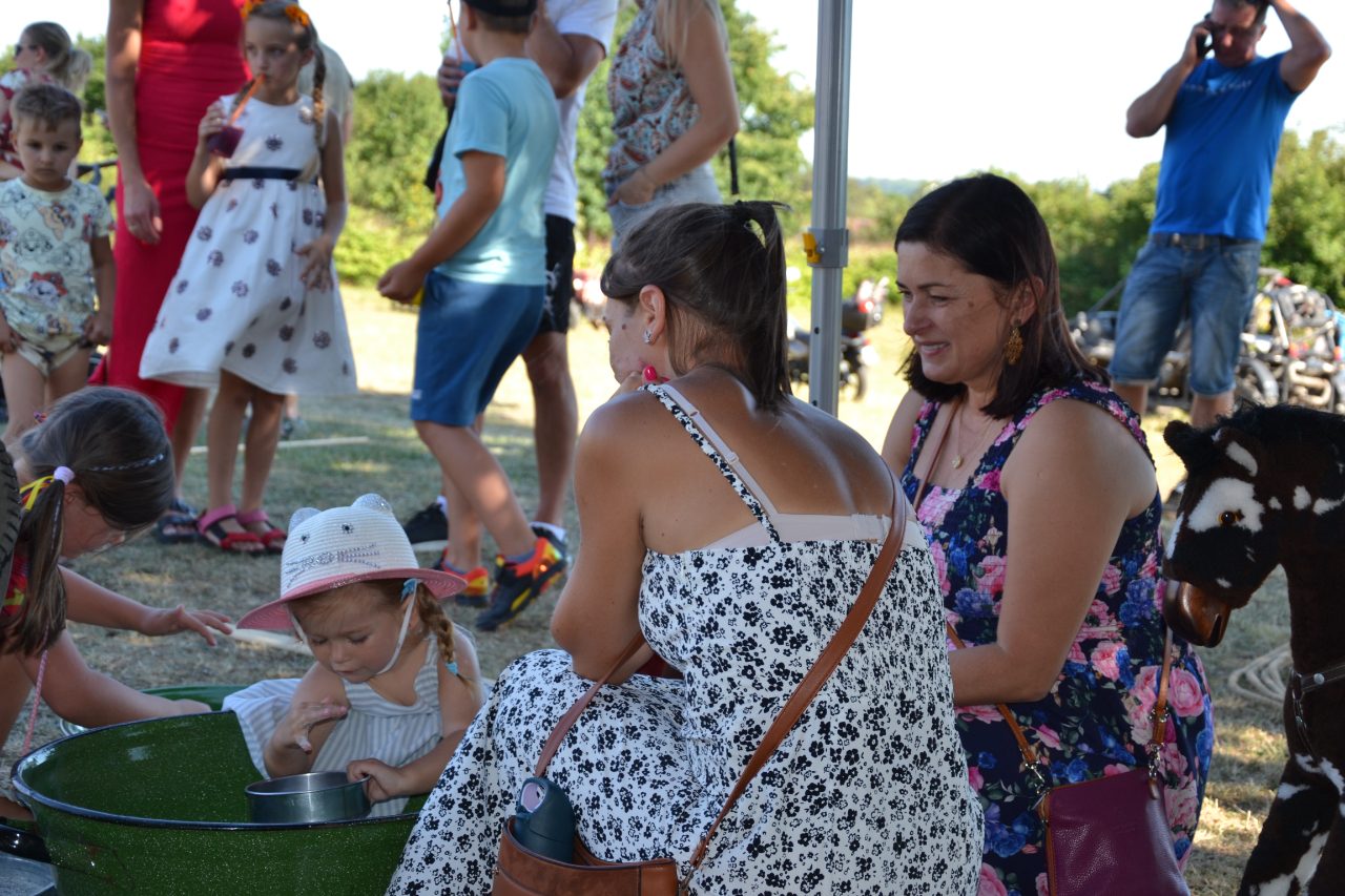 Dożynki sołeckie w Pstrążnej –  zabawa dla całych rodzin - zdjęcie 5
