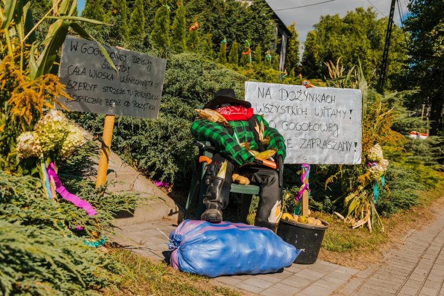 Dożynki Gminy Mszana 2026 w Gogołowej – tradycja, folklor i muzyka - zdjęcie 12