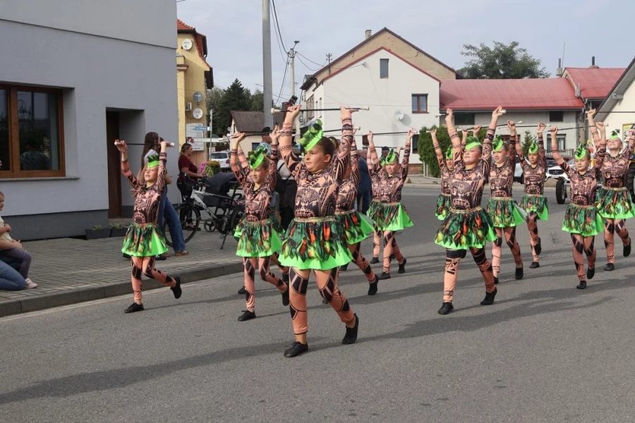 Dożynki Parafialno-Wiejskie w Pietrowicach Wielkich - zdjęcie 7